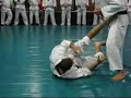 March Gracie Insider Technique of the Month