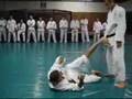 March Gracie Insider Technique of the Month