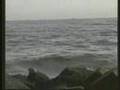 Galveston Texas Beach scenes