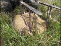Texas Coastal Prairie Series - Saums Road Prairie Rescue