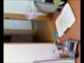 videos de ぽぽ、来ない。