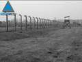 Infolive.tv: Encuentran los planos originales de Auschwitz