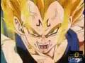 vegeta gay