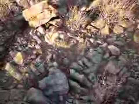 Weathered outcrop | Fremont Peak ...