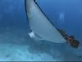 Palau Liveaboard Scuba Diving- Expedition Fleet Palau Liveaboard Scuba Diving- Expedition Fleet