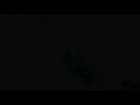 YXZ Round 1 - In the Place [Nevada11 vs Commozee] *Won*
