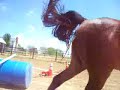 western jumping western jumping