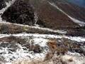 Panorama from above treeline on Khumbu trek