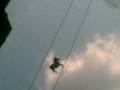 videos de cavallo che vola