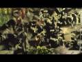 videos de The Making of Bacardi Mojito