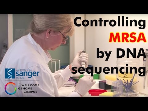 how to isolate mrsa