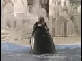 Baleia Orca