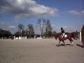 kevin staut