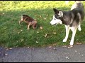 VID 00003-20091121-1523.3GP