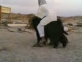 turkisk 001