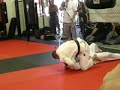 KNOXX: Darlynson Lira Brazilian Traditional Jiu-Jitsu demo