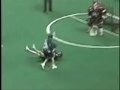 National Lacrosse League National Lacrosse League