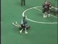 National Lacrosse League National Lacrosse League