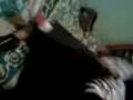 Peleando con la brocha (womanizer)