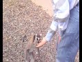 Me getting \"attacked\" by a Lemur