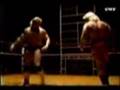 Magnum T.A. The Champ!