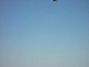 Thunderbirds at Mathis Field Air Show