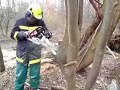 Grillzange mit Kettensäge aus Baum schnitzen Grillzange mit Kettensäge aus Baum schnitzen