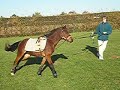 Voici quirat qui fais de la longe ^^