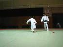 judo