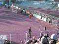 videos de FSV Zwickau vs Wismut A**
