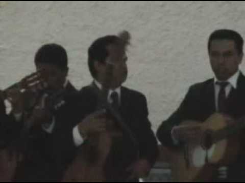Ver Video