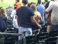 Detroit Tiger Tail