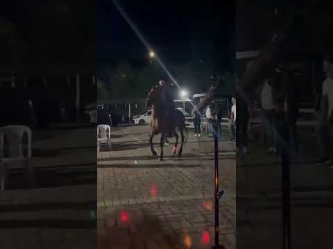 Video demostrativo de Julian Irreño 