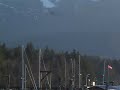 Sealions Deep Bay Vancouver Island British Columbia Canada