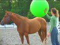 Horsemanship