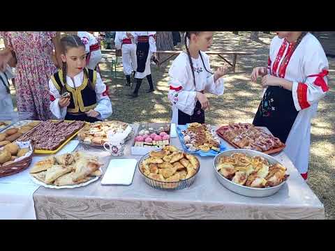 ШУМАДИЈСKА KРАЉИЦА У ГОРЊОЈ ТРЕПЧИ