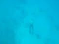 Apnea - Discesa a -22 mt Apnea - Discesa a -22 mt