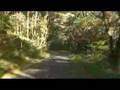 車載 2006/10/17 2-3 福島県福島市松川町水原 …