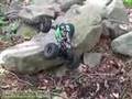 RC Rock Crawling Dig - RCNet #117