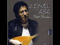 Zeynel Aba Bir Derdim Vardi