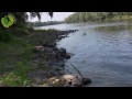 где и как ловить раков в татарстане где и как ловить раков в татарстане