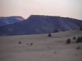 videos de Jake and Josh Cow Hunt New Mexico