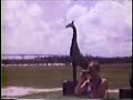 Walt Disney World Home Movies Fall 1973