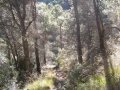La Hoya  (Los Villares)