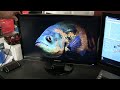 Dell U2410 Comparison Test. TN or IPS?