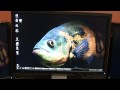 Dell U2410 Comparison Test. TN or IPS?