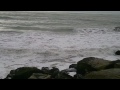 Mar del Plata's rocky shore