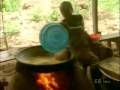 videos de Produccion de Alimentos