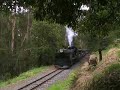 Puffing Billy 28/12/06 Puffing Billy 28/12/06