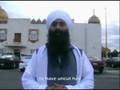 Sikhi Da Boota